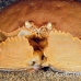 crab_box_kimabolung_h_0036_sul8031.jpg